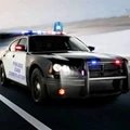 警车自由驾驶游戏下载_警车自由驾驶安卓版下载v1.1  v1.1
