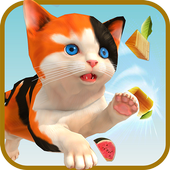 小猫模拟器游戏下载_小猫模拟器手机安卓版下载v1.2