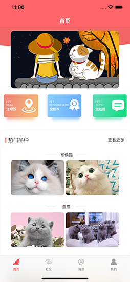 亲爱的猫咪App下载_亲爱的猫咪App下载官方版_亲爱的猫咪App下载最新官方版 V1.0.8.2下载