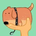 宠物训养小课堂app下载-宠物训养小课堂官方版下载v1.0.0  v1.0.0