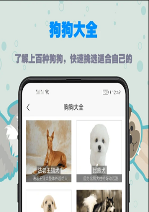 训狗宝典APP最新app版下载|训狗宝典APP最新版v1.0.1下载