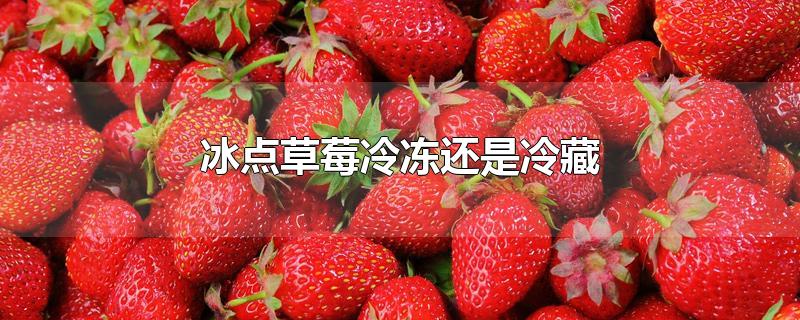 冰点草莓和冰冻草莓一样吗