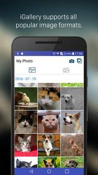 iGallery 10app_iGallery 10appios版