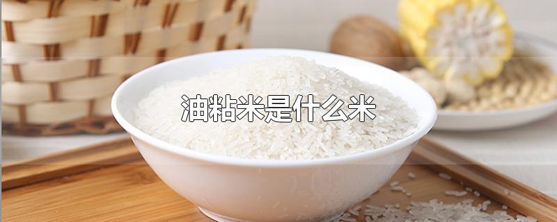油粘米是什么米?