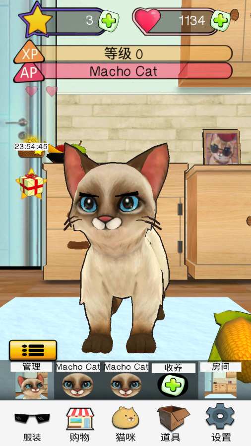 《狂刷猫咪》:宠物猫模拟器app_《狂刷猫咪》:宠物猫模拟器app最新版下载