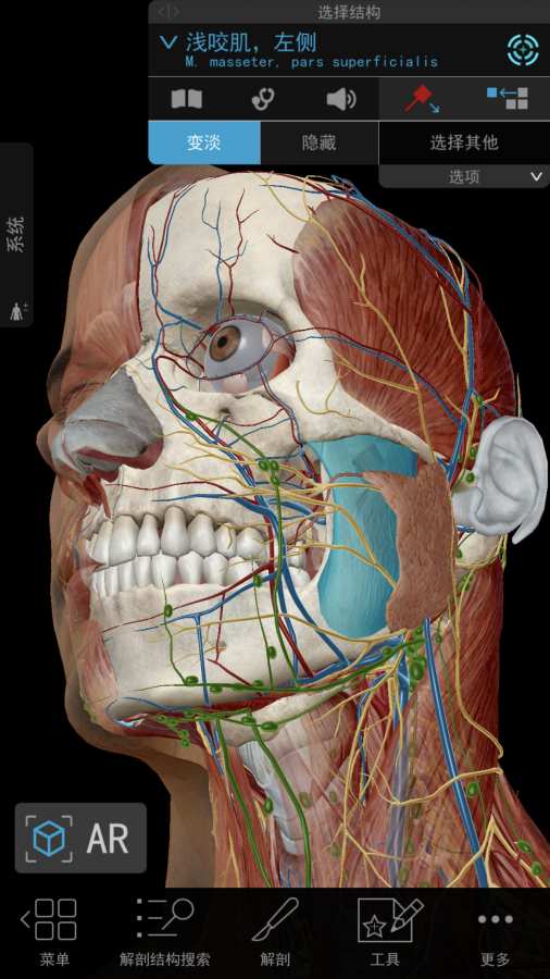 2020人体解剖学图谱下载