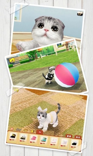 心动小猫app_心动小猫app安卓版下载V1.0_心动小猫app最新版下载