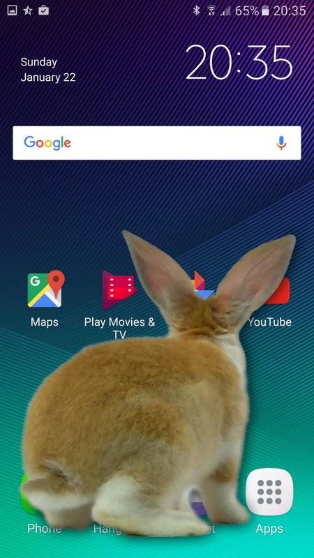 兔子在手机可爱的笑话app