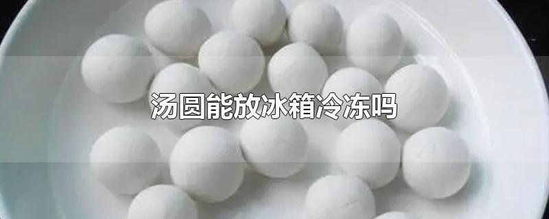 汤圆必须放冷冻吗