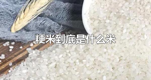 请问粳米是什么米