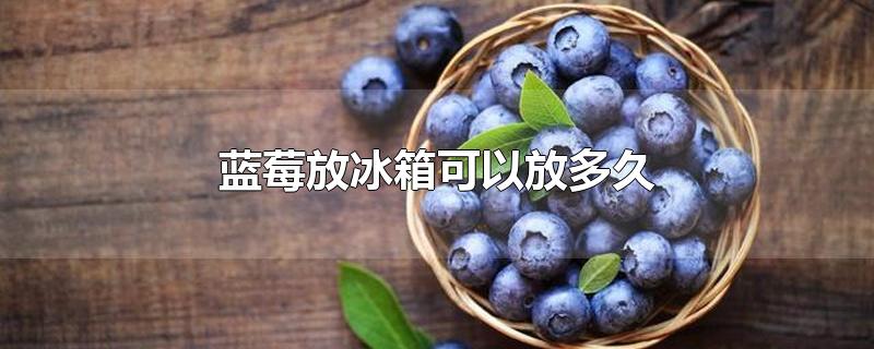 蓝莓放冰箱可以放多久不涨毛