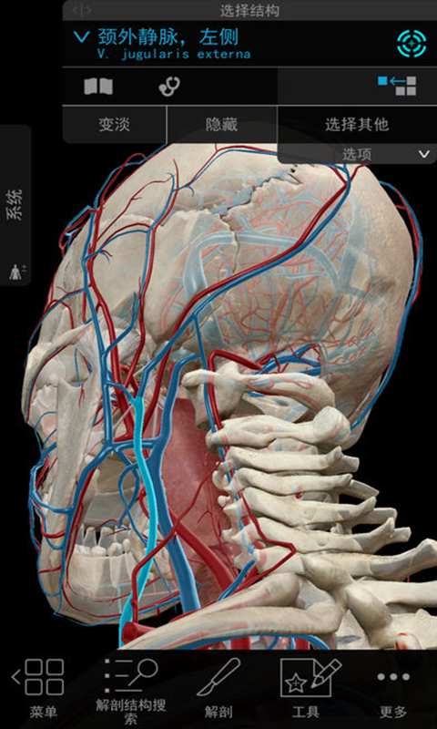 2018版人体解剖学图谱app