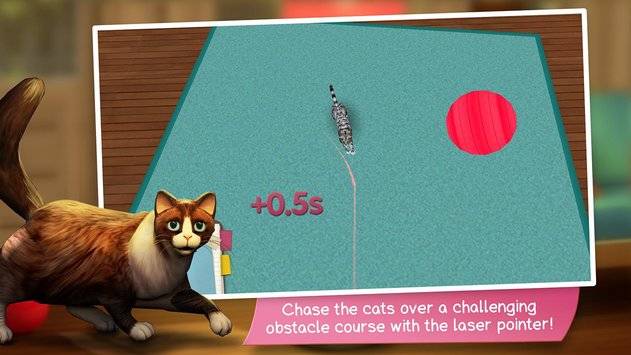 猫舍app_猫舍app积分版_猫舍app官方版