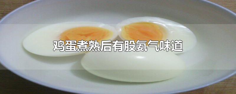 鸡蛋煮熟后有股氨气味道,放一会味道就消失了怎么回事
