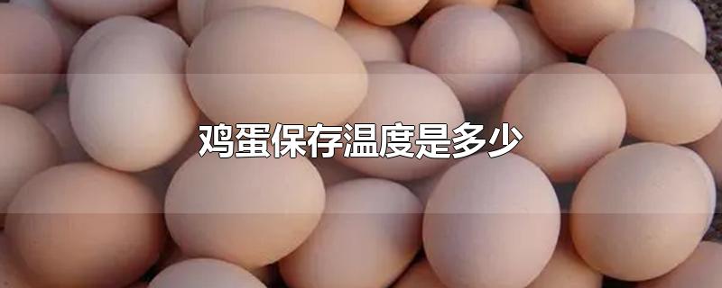 鸡蛋的最佳保存温度是多少