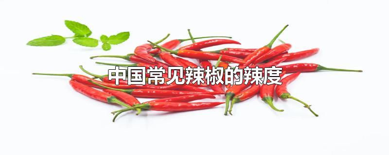 中国常见辣椒的辣度表