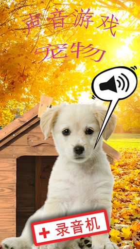 儿童宠物声音游戏app_儿童宠物声音游戏app最新版下载_儿童宠物声音游戏appios版