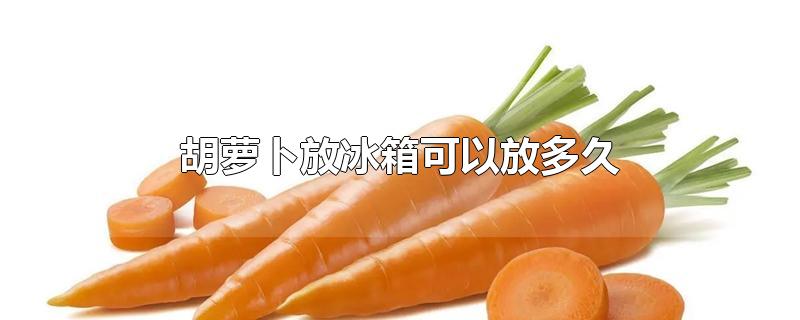 胡萝卜在冰箱可以放多久