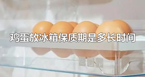 鸡蛋可以冰箱保存多久