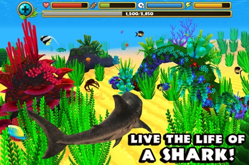 鲨鱼模拟器app_鲨鱼模拟器app安卓版下载_鲨鱼模拟器app最新版下载