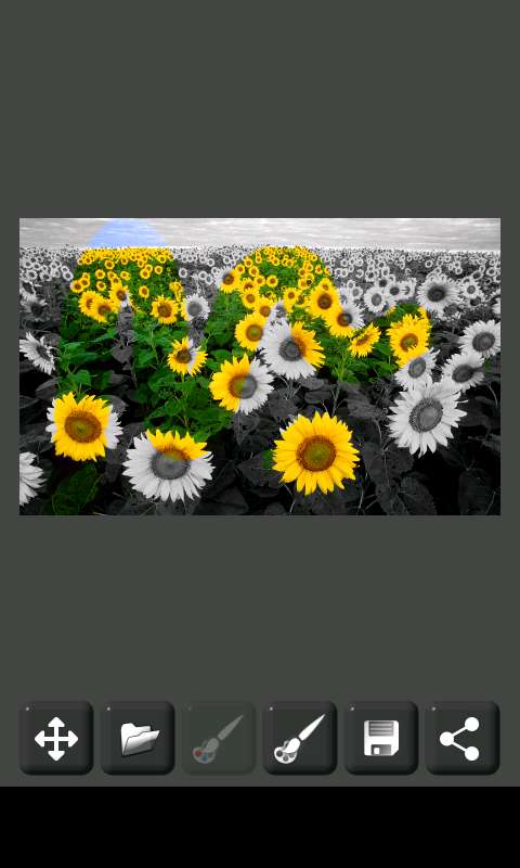 Image Decolorizerapp_Image Decolorizerapp官方版