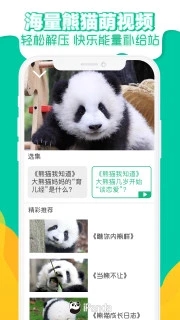 熊猫频道app下载_熊猫频道app下载官方版_熊猫频道app下载中文版下载