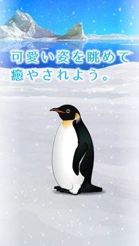 癒しのペンギン育成ゲームapp_癒しのペンギン育成ゲームappapp下载