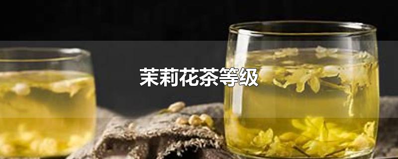 茉莉花茶等级名称