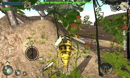 大黄蜂进化史最新版-大黄蜂进化史游戏下载 v1.0.2
