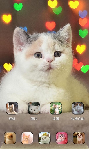 萌猫咪-宝软3D主题app_萌猫咪-宝软3D主题app安卓版下载