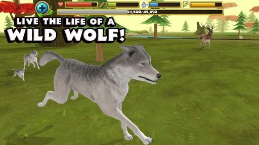 灰狼模拟器app_灰狼模拟器app破解版下载_灰狼模拟器app下载