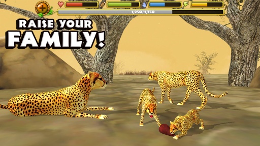 猎豹模拟器app_猎豹模拟器app手机版_猎豹模拟器app最新官方版 V1.0.8.2下载
