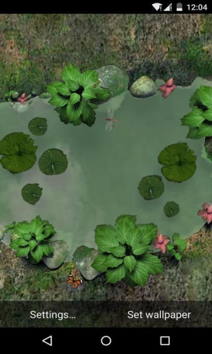 3D池塘小景-梦象动态壁纸app_3D池塘小景-梦象动态壁纸app中文版下载