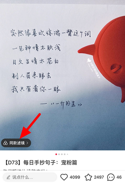 小红书同款滤镜怎么设置？