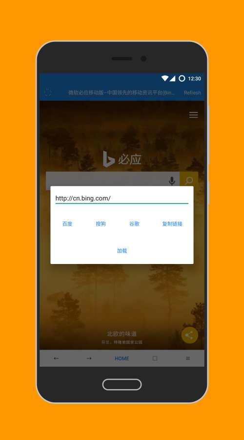 柠檬浏览器app_柠檬浏览器app电脑版下载_柠檬浏览器app中文版下载