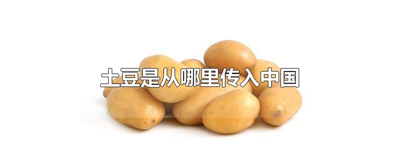 土豆是从哪里传入中国的