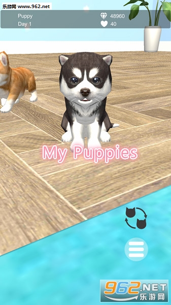 My Puppies游戏