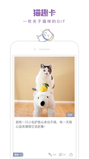 一日猫软件下载_一日猫软件下载中文版_一日猫软件下载app下载