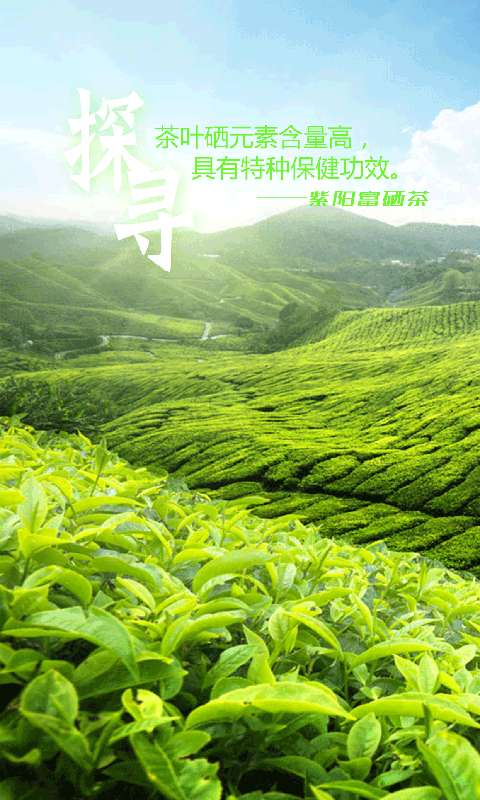 紫阳富硒茶app_紫阳富硒茶app下载_紫阳富硒茶appapp下载