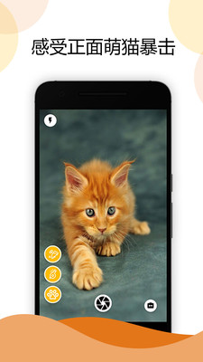 猫咪相机app图片2
