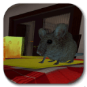 Simulator Of Rat