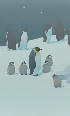 企鹅岛2020最新版