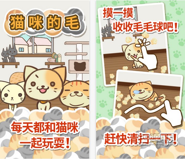 猫咪的毛ios版