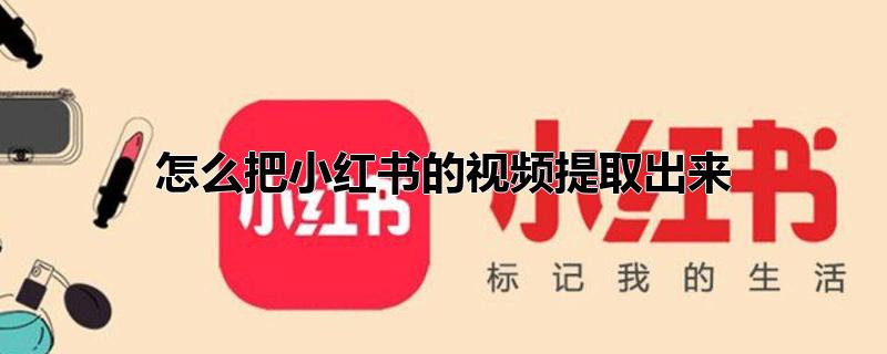 如何提取小红书视频中的音频(怎么把小红书里的视频导出来)