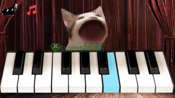 流行猫钢琴下载_流行猫钢琴手机app下载v7.0