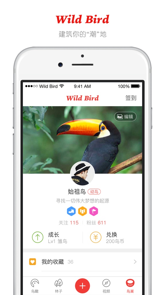 野鸟装备app_野鸟装备app安卓手机版免费下载_野鸟装备appapp下载