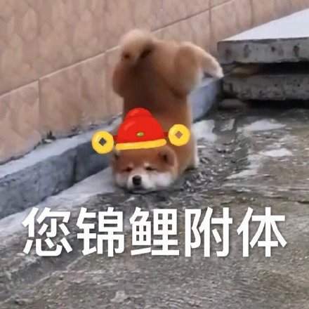 给您拜年啦表情包