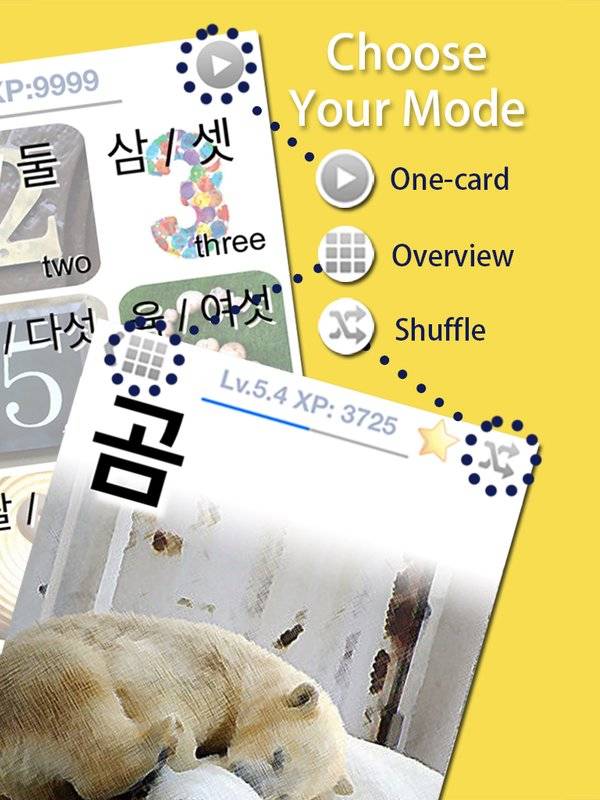 LingoCards韩语单字卡－学习韩文发音、韩国旅行短句app