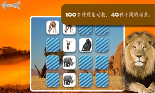 野生动物图片记忆游戏app_野生动物图片记忆游戏app手机游戏下载