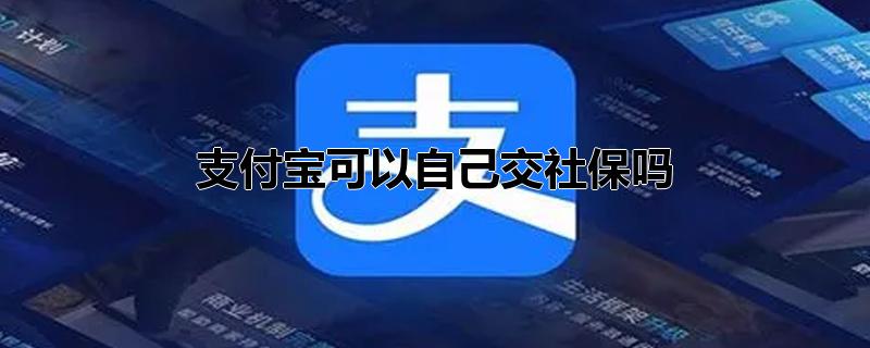 支付宝可以直接交社保吗